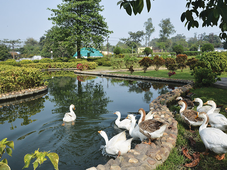 Eco Park, Jamshedpur Works