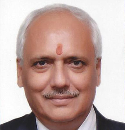 Mr V K Sharma, Independent Director