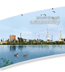 Grouth through sustainability