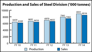 Production and Sales of Steel Division ('000 tonnes)