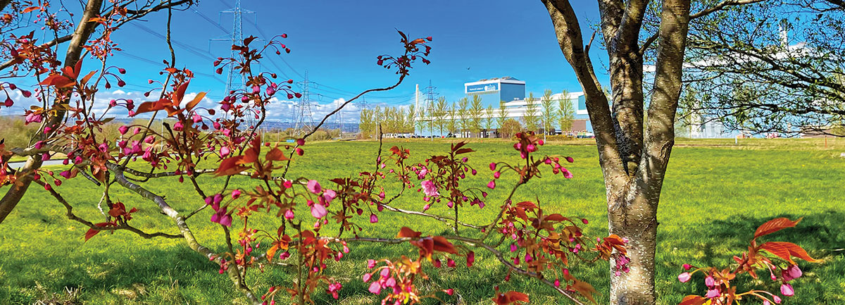 Tata Steel UK Shotton site with blossoming trees