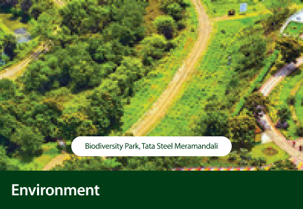 Environment