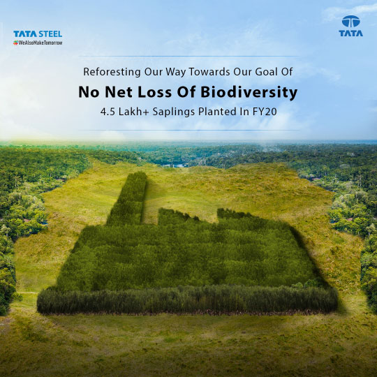 World Forestry Day 21st March