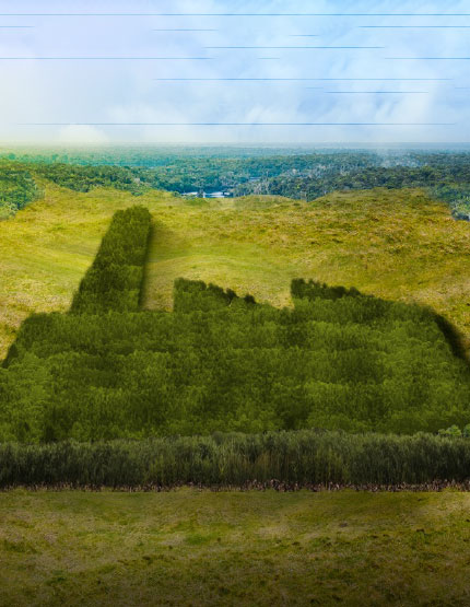 World Forestry Day