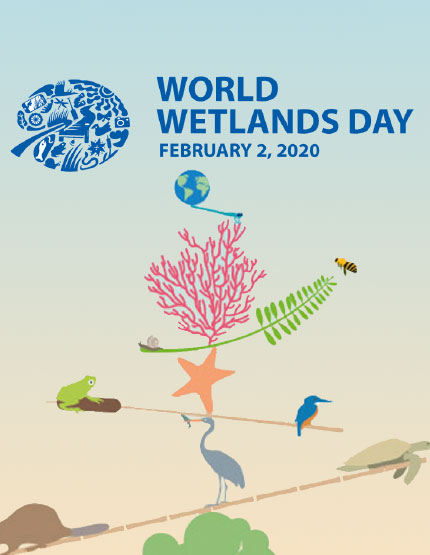Nature Club Formation & World Wetlands Day