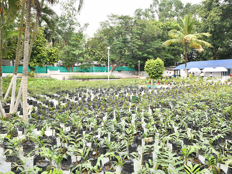 Plant Nursery, Jamshedpur