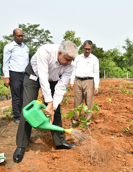 Sustainability Month 2019