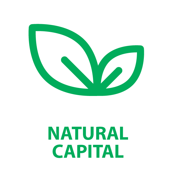 Natural Capital