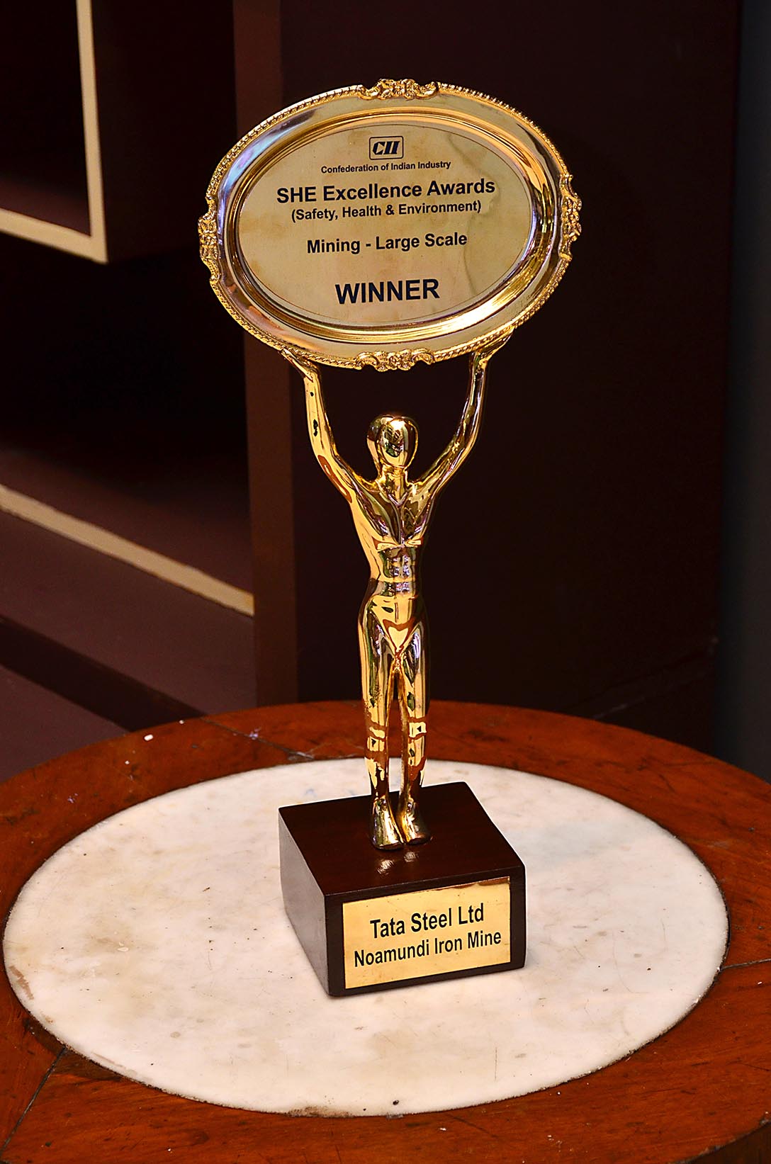 Tata Steel bags best Indian steel company award